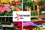 BAYINDIR ÇİÇEK FESTİVALİ