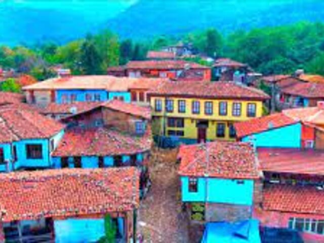 YEŞİL BURSA TURU