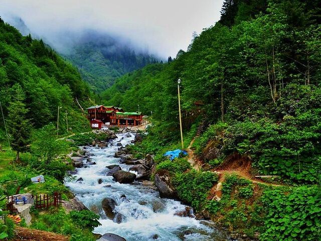 UÇAKLI KARADENİZ VE BATUM TURU